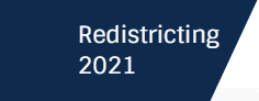 Redistricting 2021 Logo
